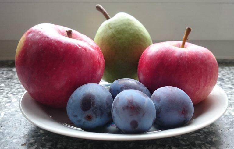 Obstteller1